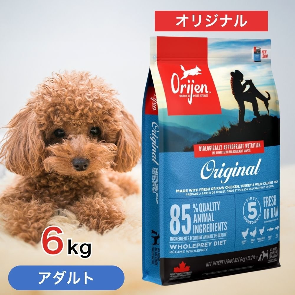 アメリカ産フードへの切り替え方と失敗しないコツ