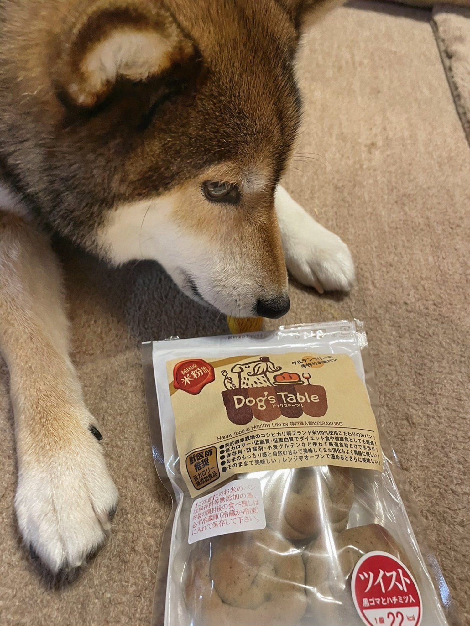 食べ残しやよくある保存の疑問を解消する