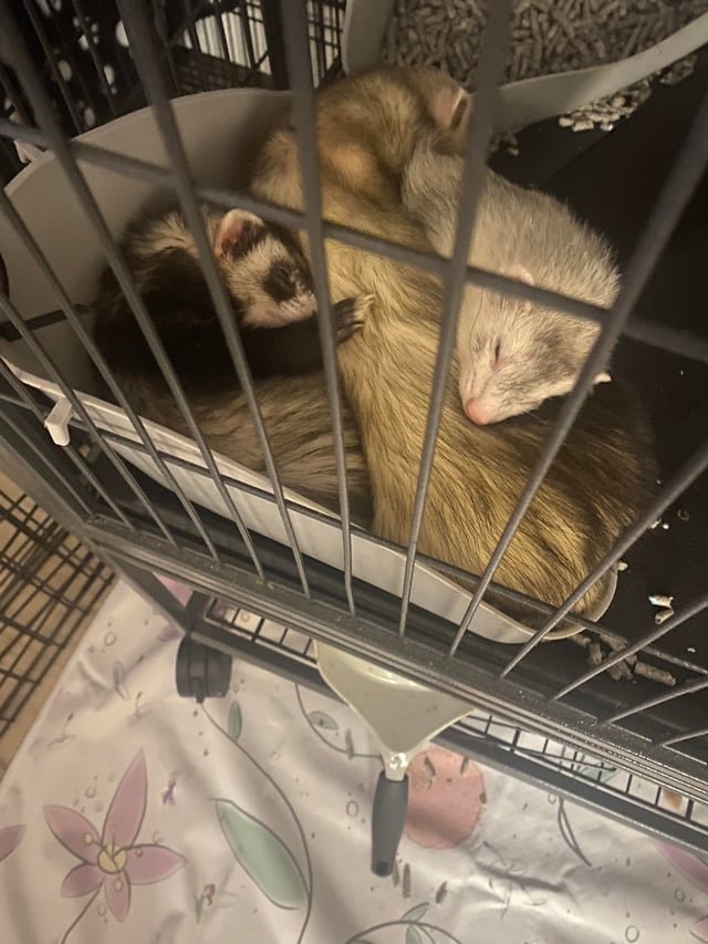 評判だけに惑わされない安全性チェックの仕方