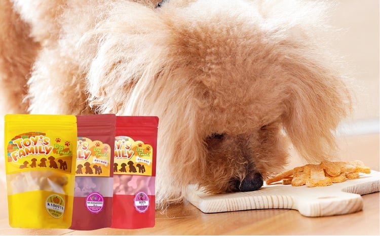 ドッグフード寄付に関する気になる疑問への回答