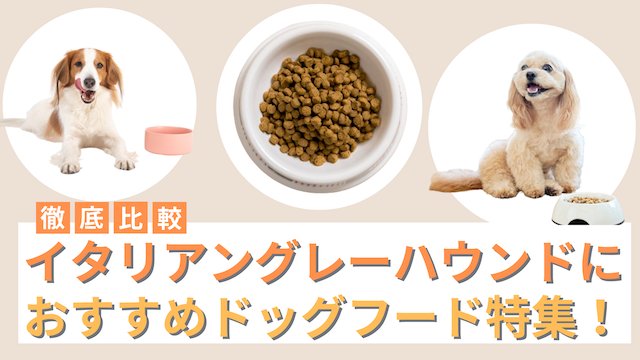 ドッグフードを比較するときの基本的な考え方