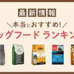 失敗しないドッグフード比較7つのポイント