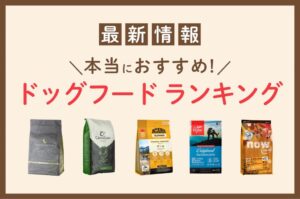 失敗しないドッグフード比較7つのポイント