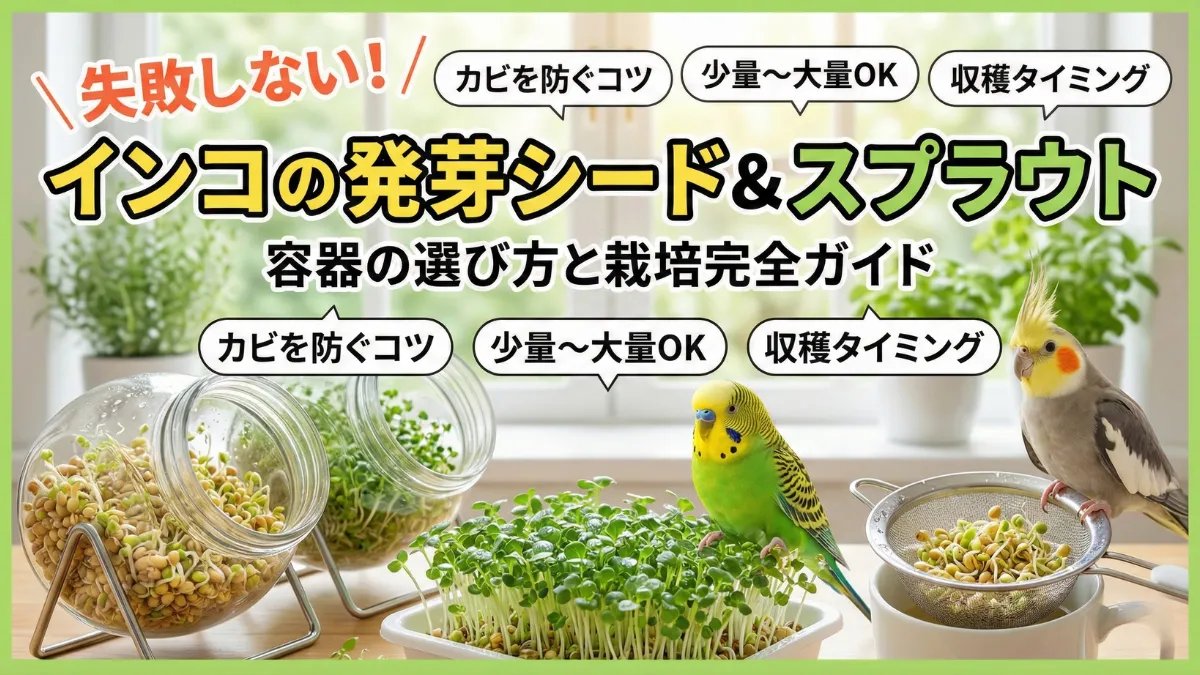 失敗しないドッグフードの選び方7つのコツ