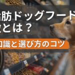 ドッグフード 寄付で損しない3つのコツ