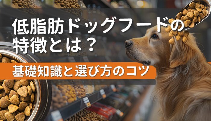 ドッグフード 寄付で損しない3つのコツ