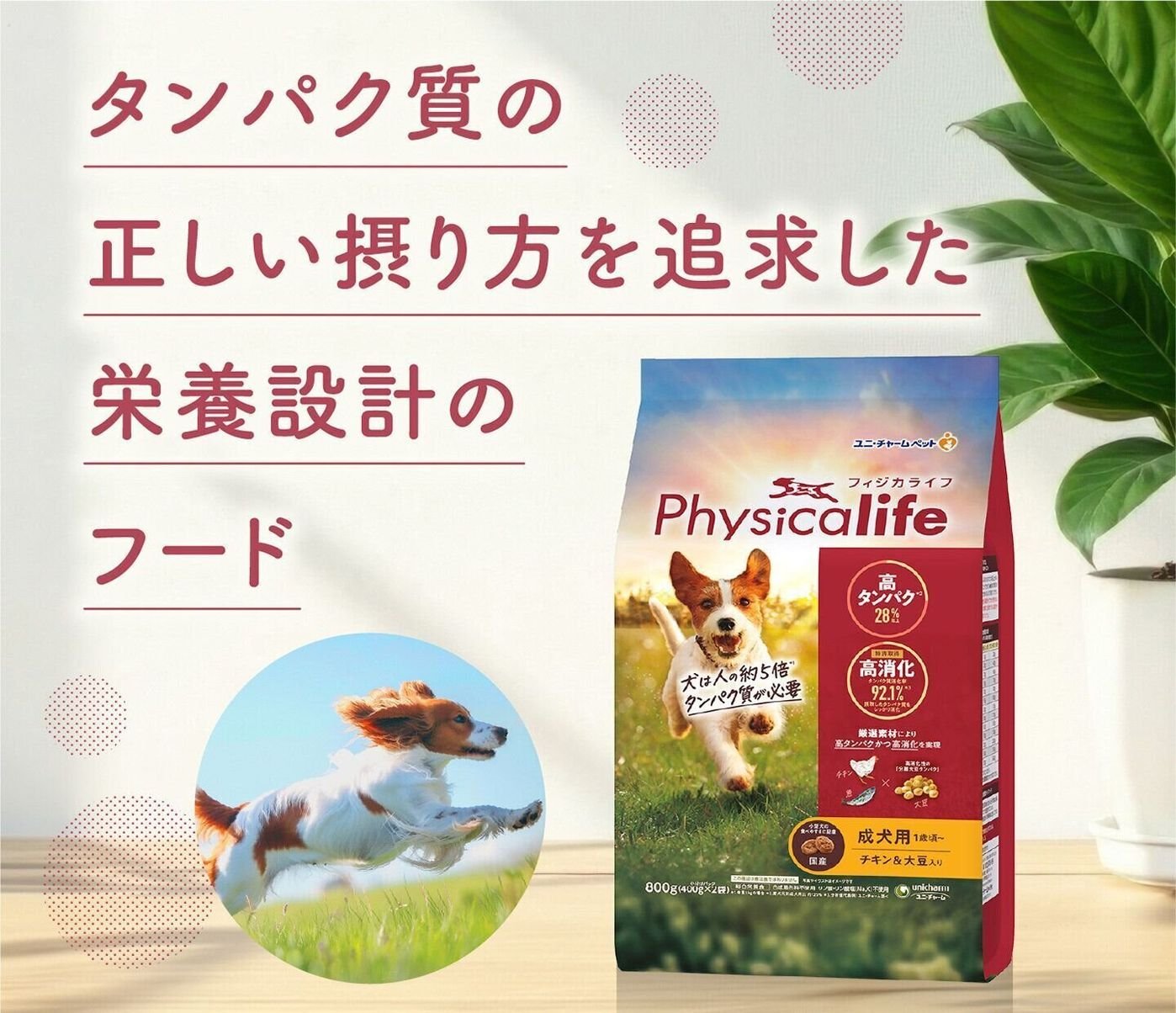 口コミから読み解く「良いドッグフード」の共通点