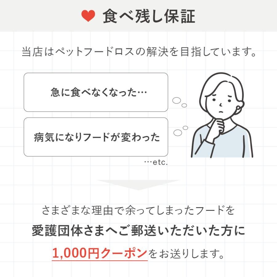 なぜドッグフード選びが愛犬の健康を左右するのか