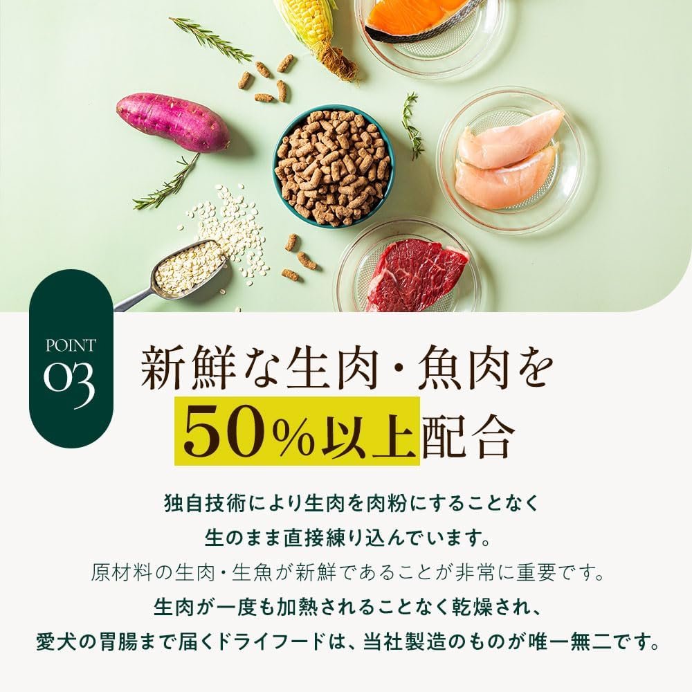 愛犬に合うドッグフードを選ぶための基本ステップ