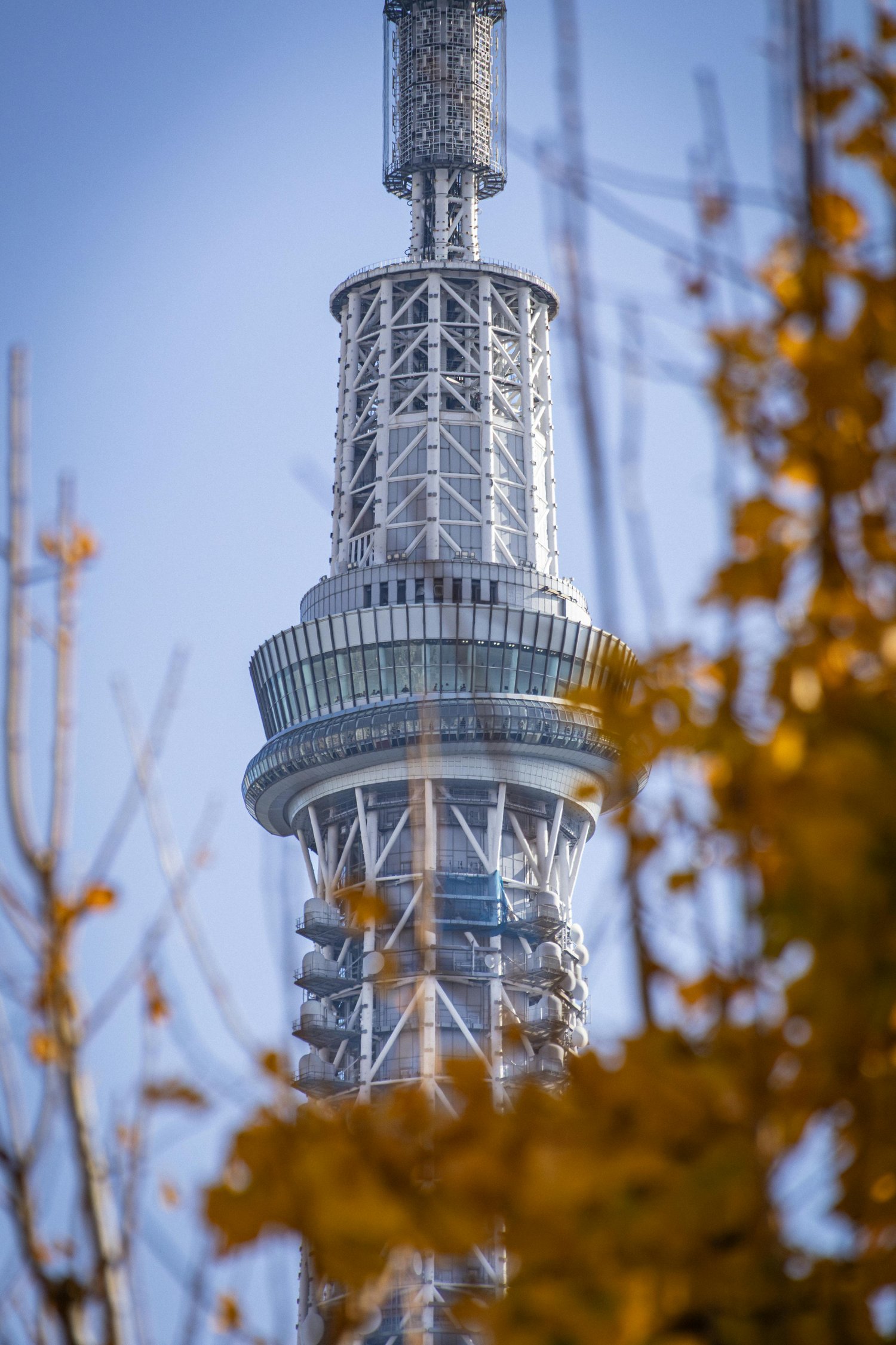 ライフステージ別に合うフードの選び方