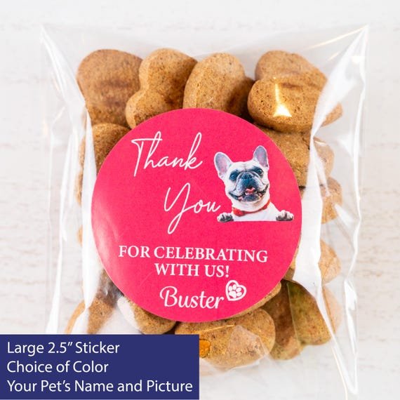 アメリカ産ドッグフードが支持される主な理由