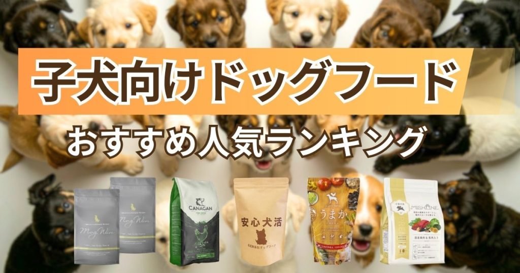 ドッグフードを口コミだけで選ぶ前に知っておきたいこと