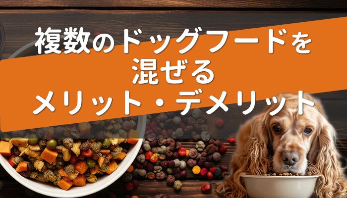 ドッグフードをふやかす主なメリットと注意したい点