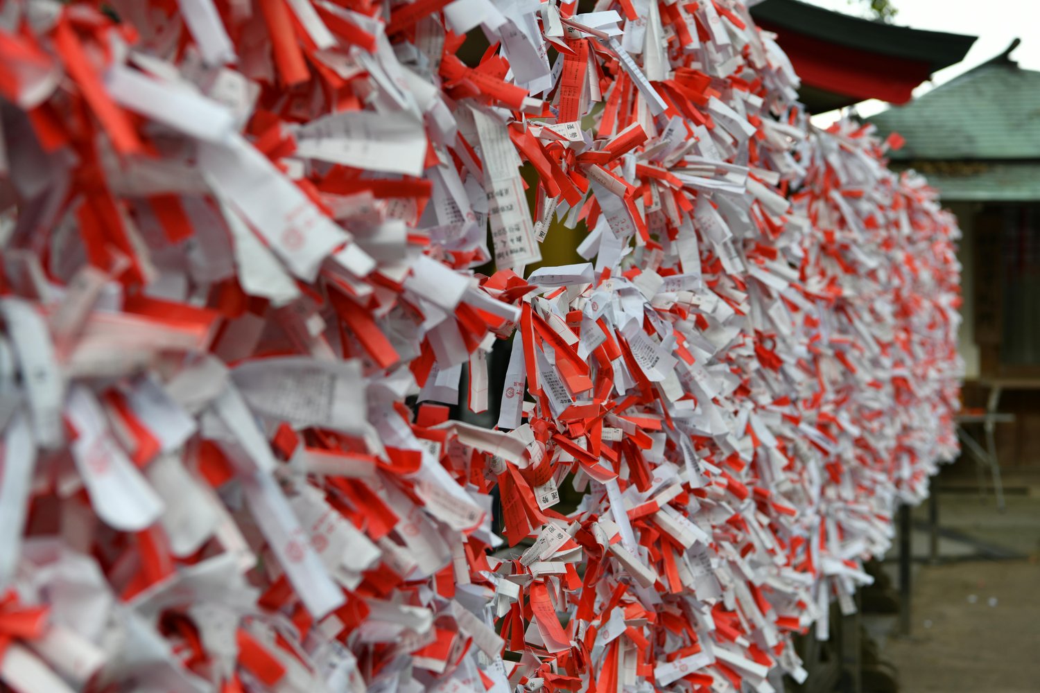 ラベルと原材料表示を正しく読み解く