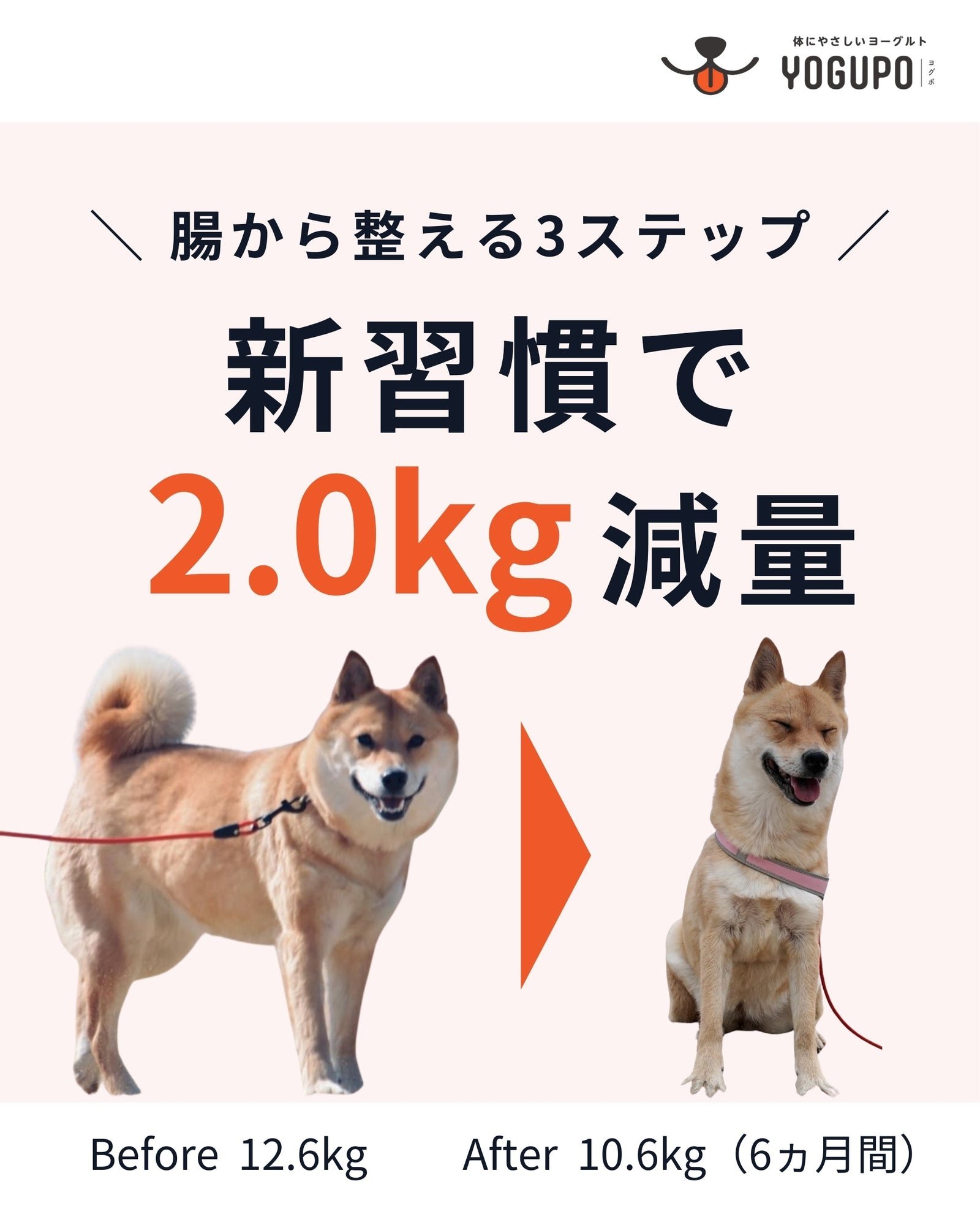 コツ6：与え方・切り替え方・保存方法を整える