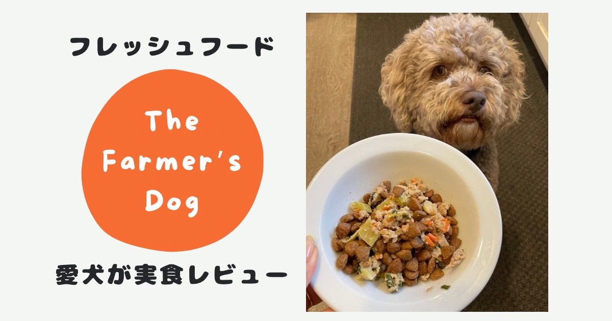 食いつきが悪いときに試したい工夫いろいろ