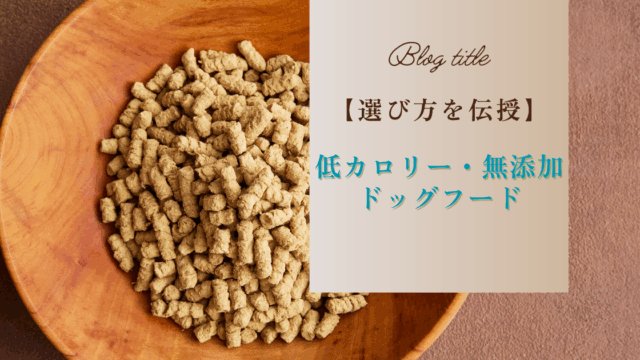 ふやかしたドッグフードに関するよくあるトラブルと対処