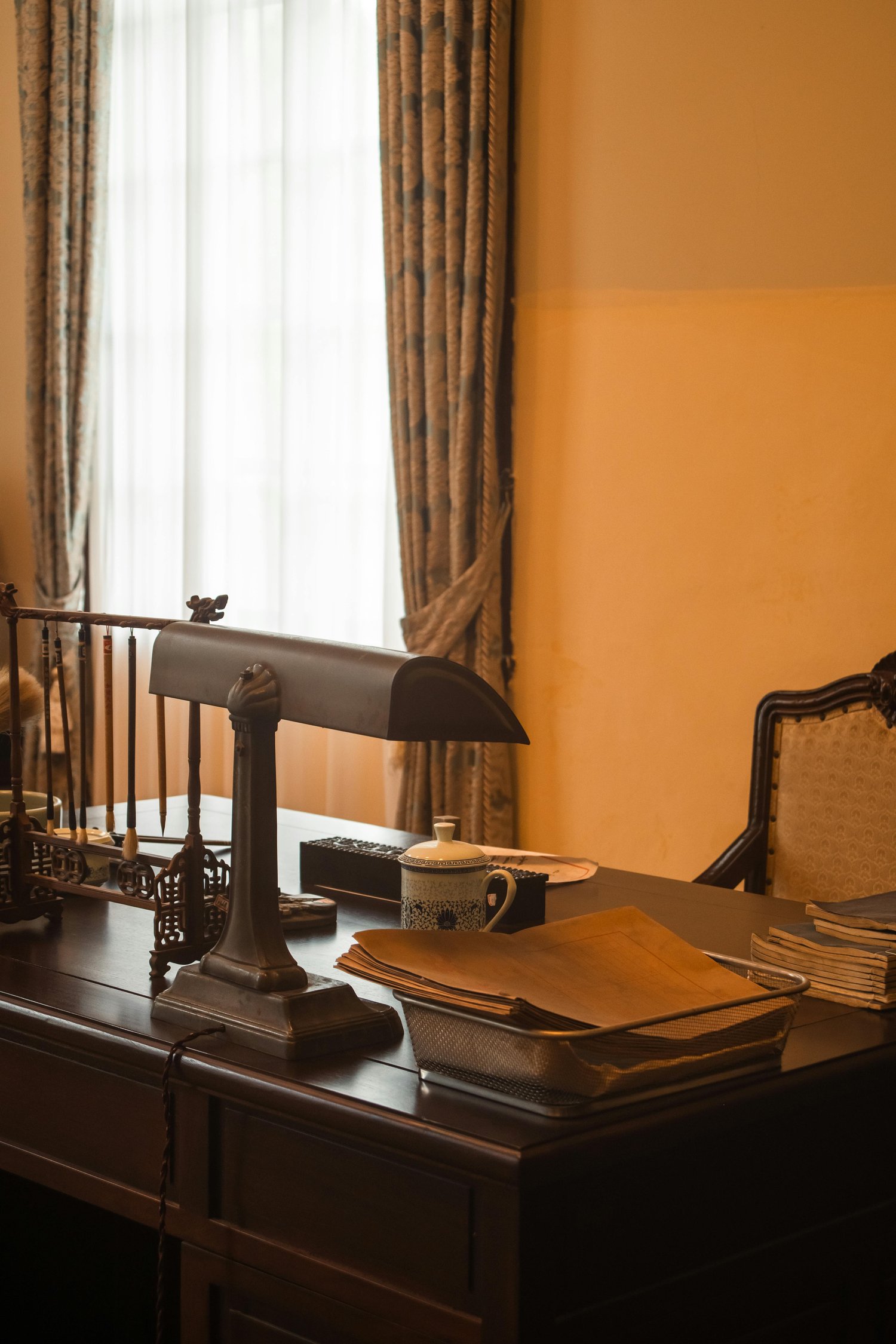 老犬特有のトラブルと対処法