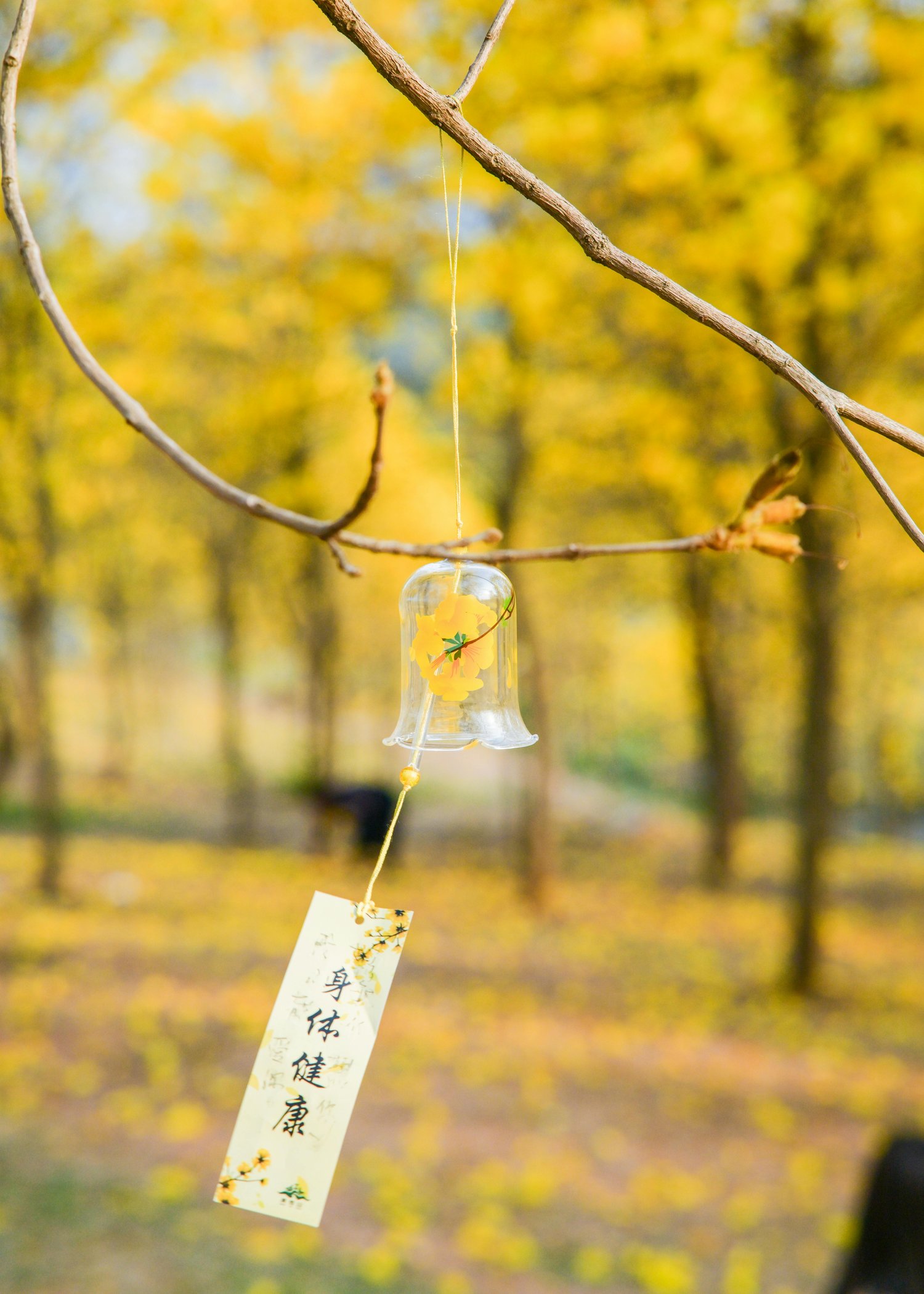 健康チェックとしての食事観察のポイント