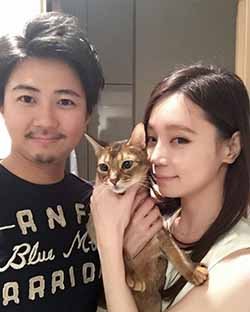 避妊・去勢手術で防げるリスクとメリット