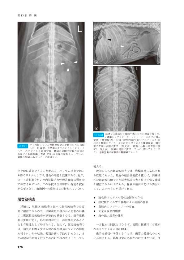 犬や猫が出てくる他のおすすめアニメジャンル