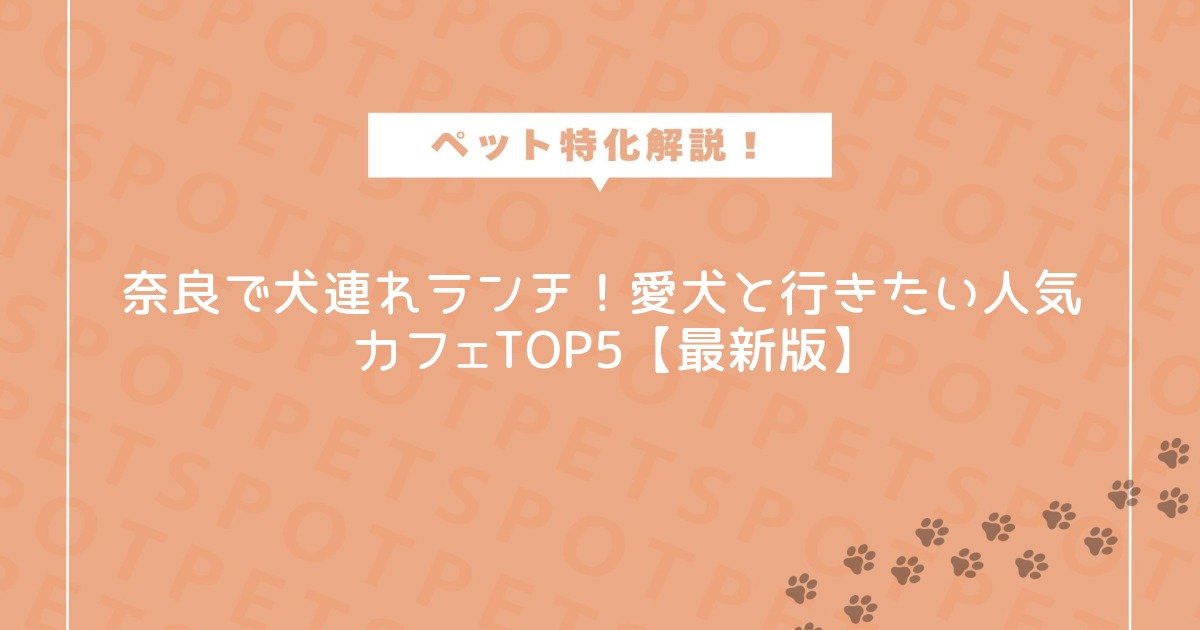 愛犬のストレスを減らす日常ケアの工夫