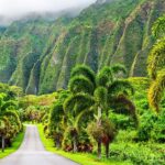 赤ちゃんと犬の子守は安全？絶対に事故を防ぐ5つのポイント