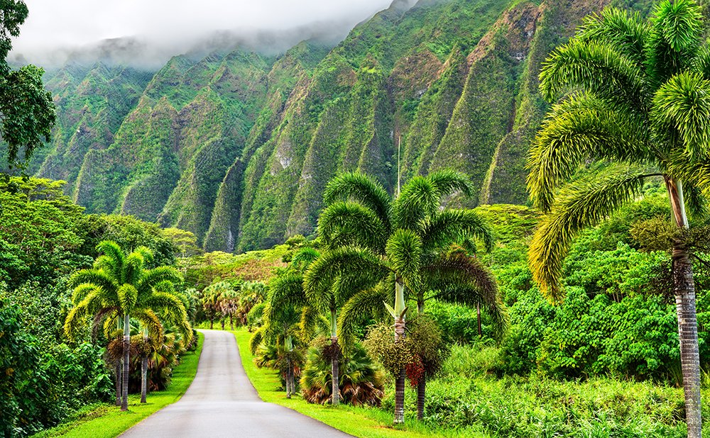 赤ちゃんと犬の子守は安全？絶対に事故を防ぐ5つのポイント