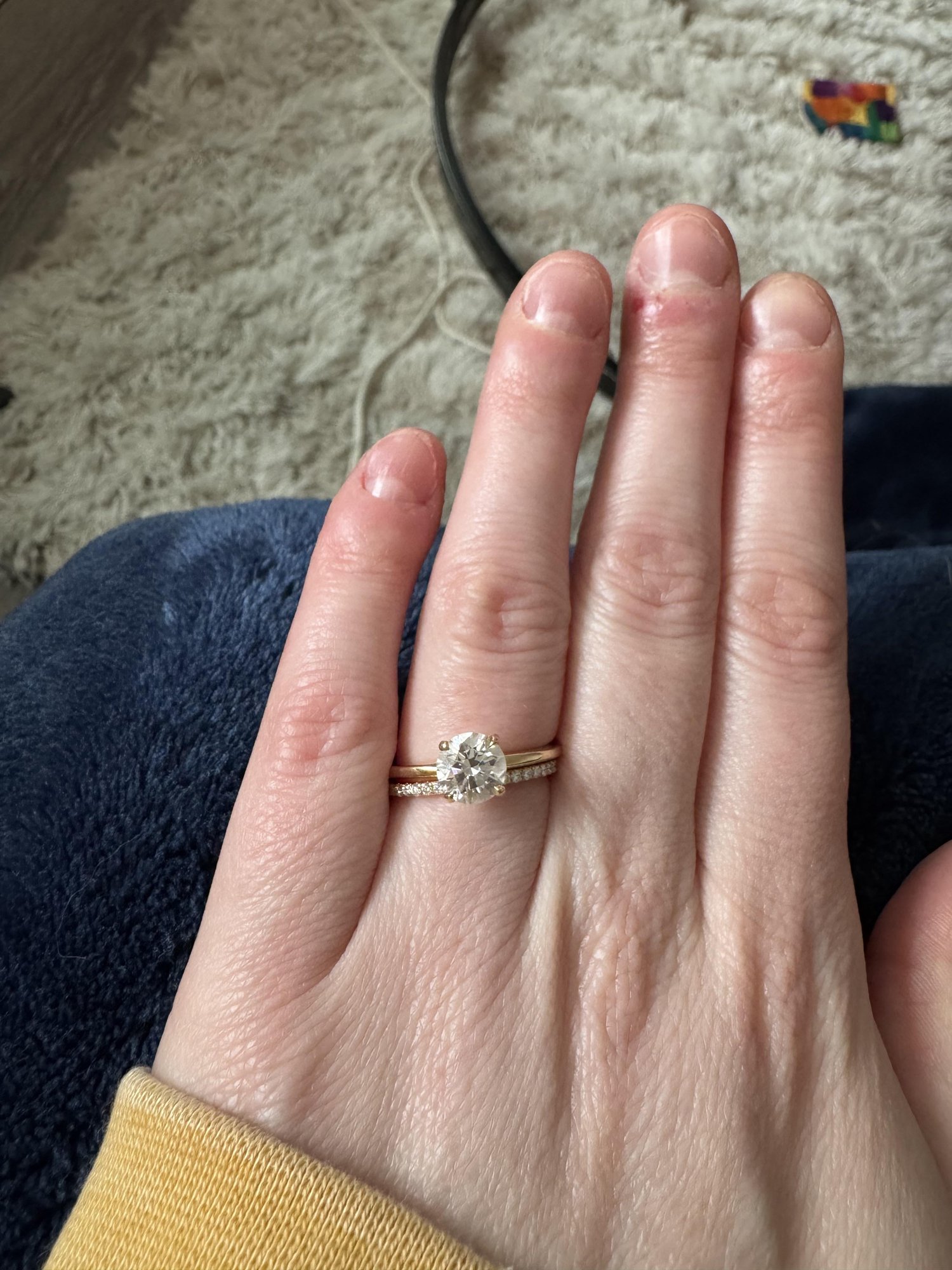 噛みそうな前兆サインと危険な行動の見分け方