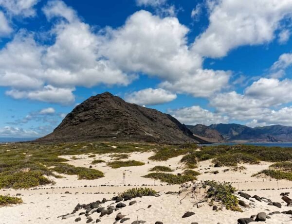 安全策3:赤ちゃんと犬を絶対に二人きりにしない