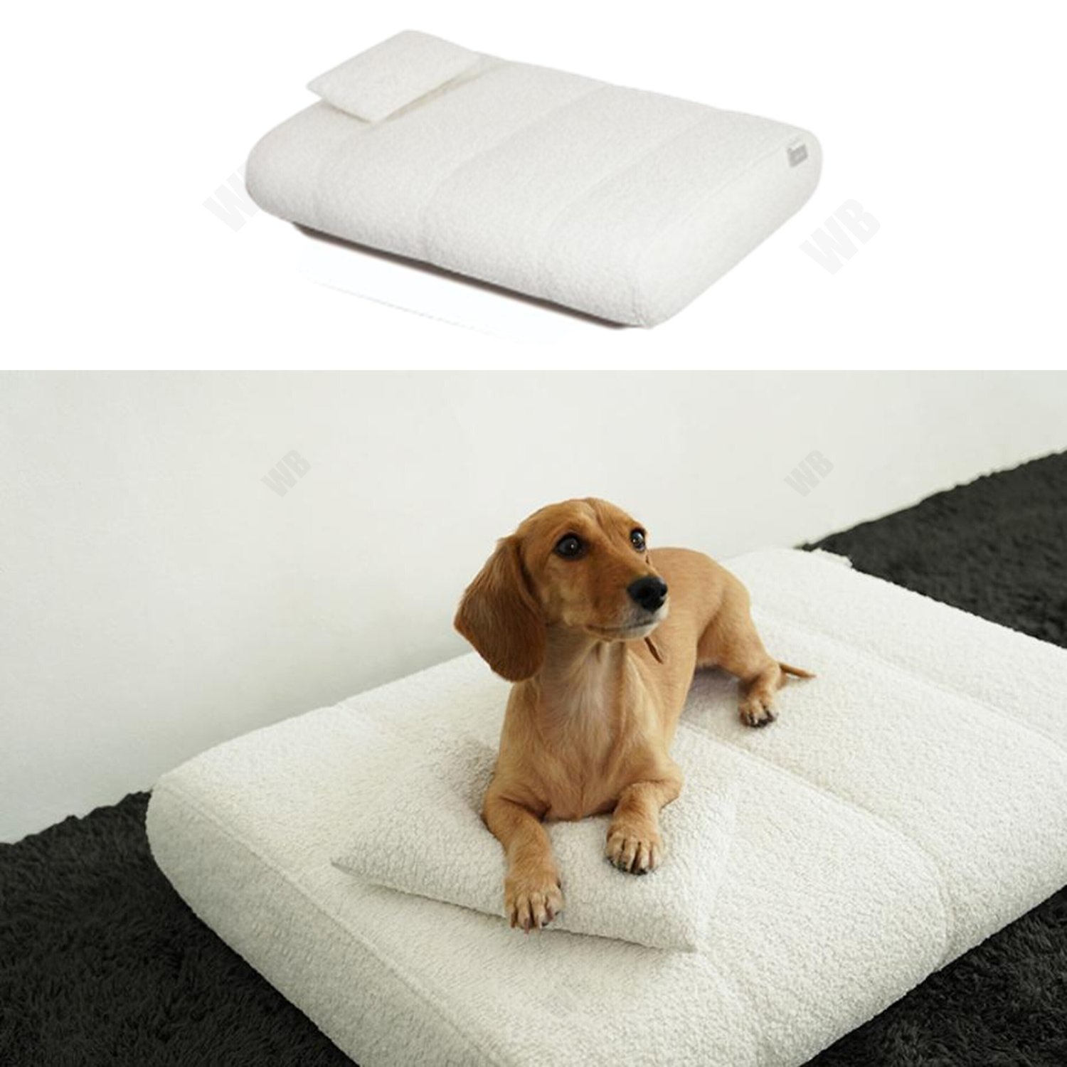 犬の去勢手術とは？基本と目的をやさしく解説