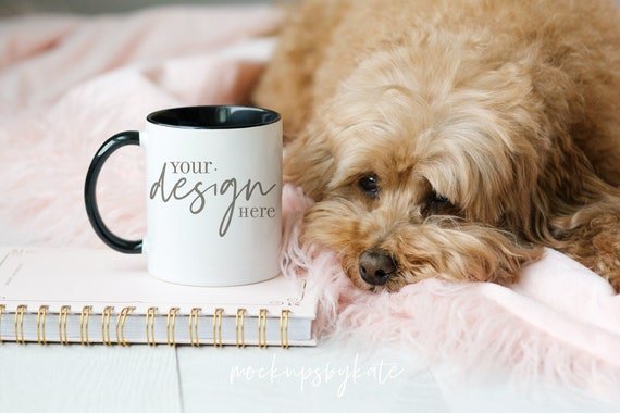 犬の避妊手術とは？方法と基本をやさしく解説