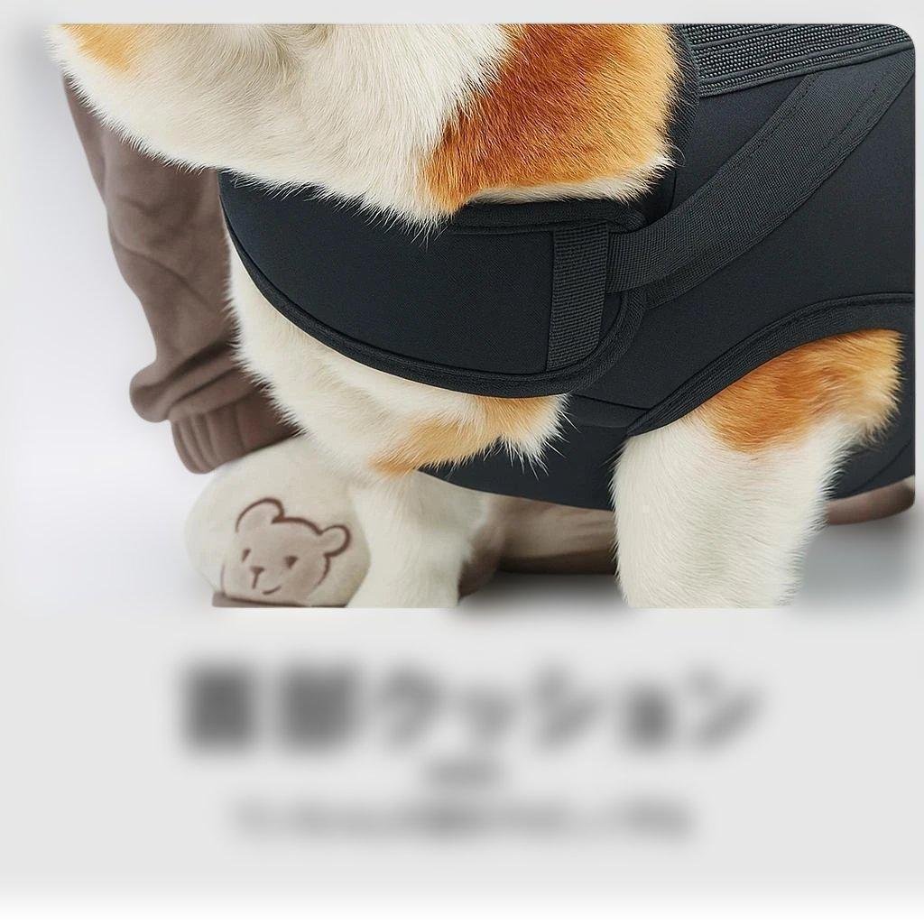 犬の去勢手術を受ける前に知っておきたい基礎知識