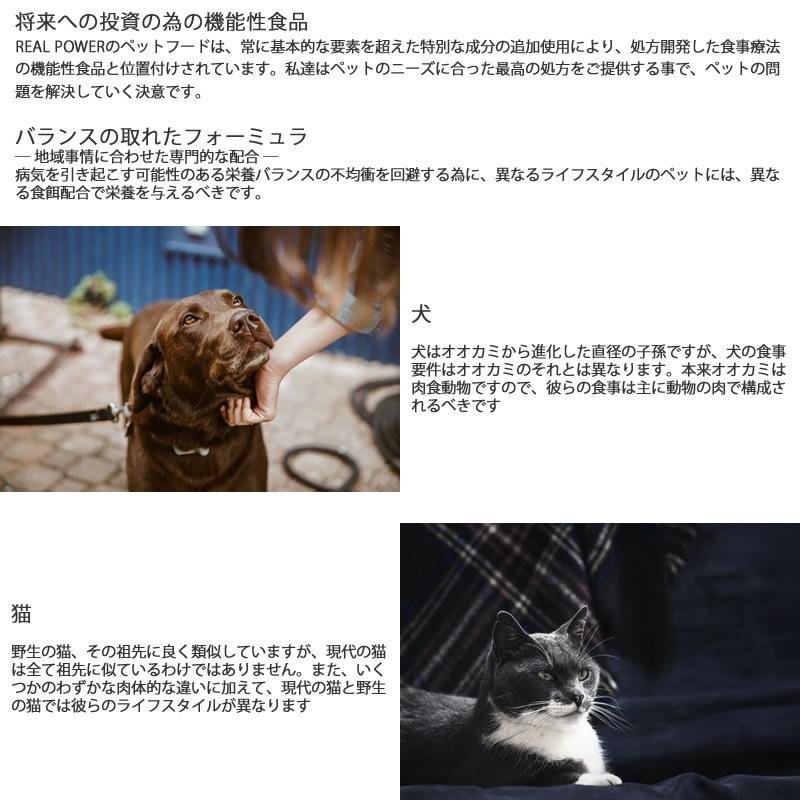 去勢手術後の体の変化と食欲の関係