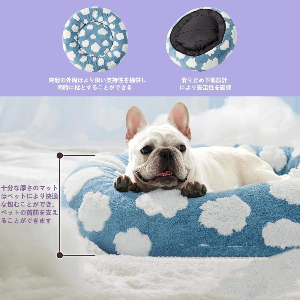 犬の避妊手術を考える前に知っておきたいこと