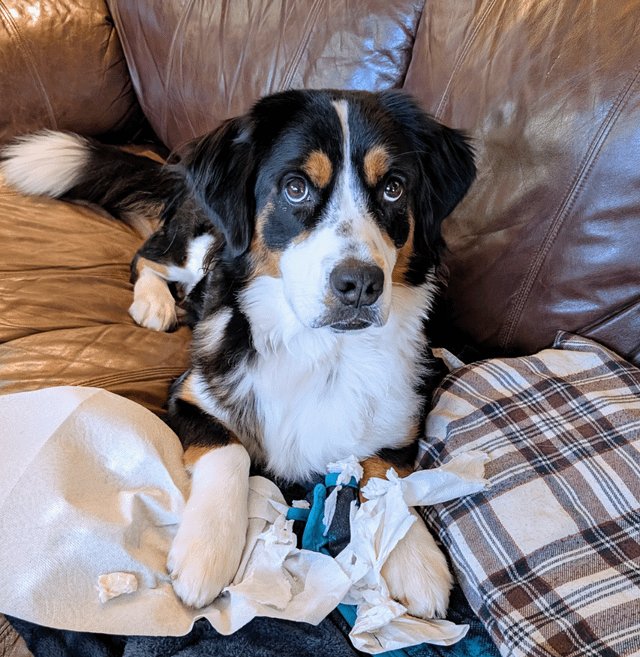 避妊手術のデメリットと気をつけたいリスク