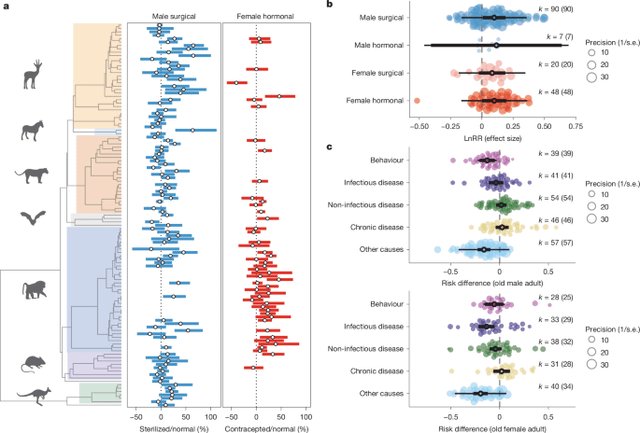 避妊手術後の長期的な健康管理と生活習慣