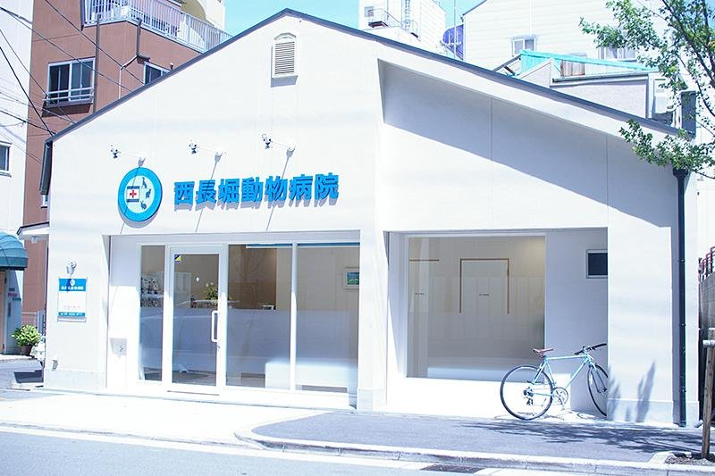 動物病院の選び方と信頼できる相談先の見極め方