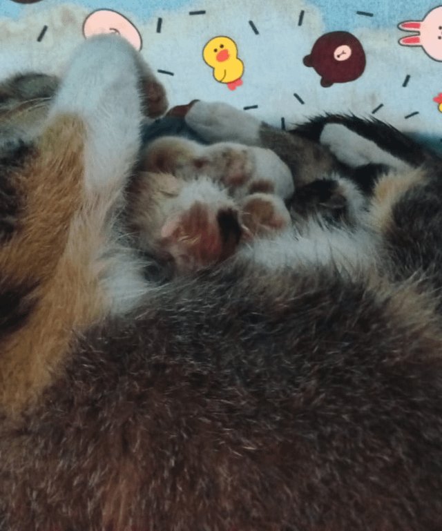 去勢で損しないための判断チェック