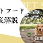 犬の去勢メリットとデメリットで損しない選び方