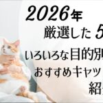 避妊後も太らせない暮らし方5選