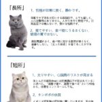 去勢後の犬のドッグフードは変えるべき？太り過ぎを防ぐ3つの新常識