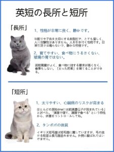 去勢後の犬のドッグフードは変えるべき？太り過ぎを防ぐ3つの新常識