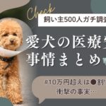 犬を去勢しないとどうなる？後悔しない7つの新常識