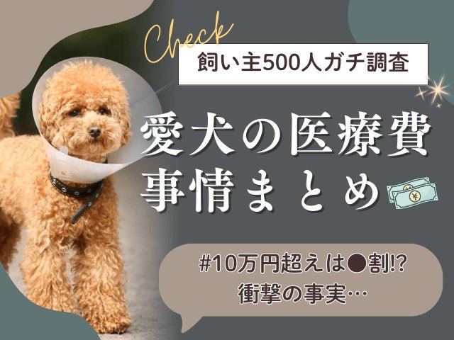 犬を去勢しないとどうなる?後悔しない7つの新常識