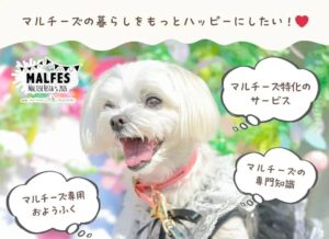 犬の去勢の手術 当日の流れで失敗しない7つの準備