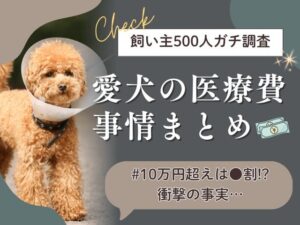 犬の去勢で後悔しない 麻酔リスクと暮らしの新常識