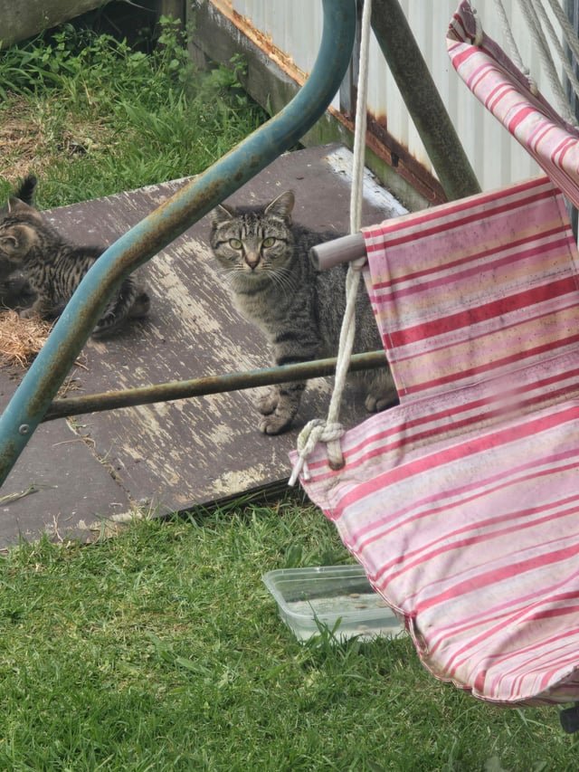 避妊手術は何歳までできる？年齢の考え方