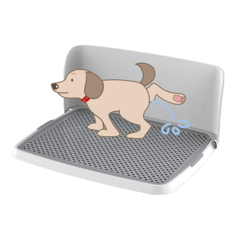 オス犬の去勢手術とは何をする手術か