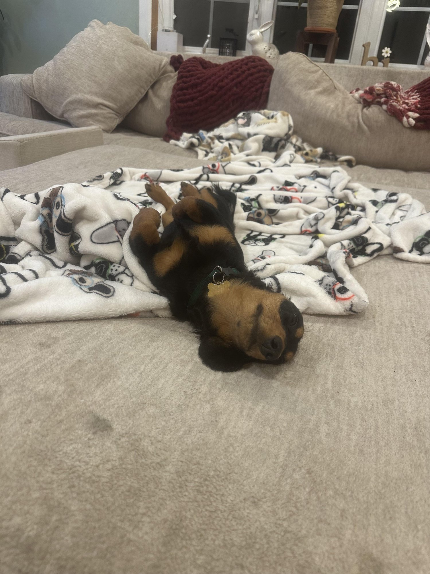 去勢で得られる主なメリット